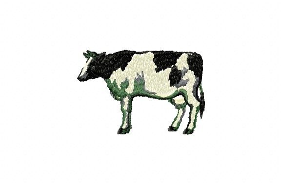 Review: Black and White Cow for Boutique Apparel